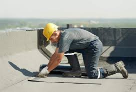 Best Roof Insulation Installation  in La Grulla, TX